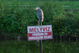 Törvényen kívül