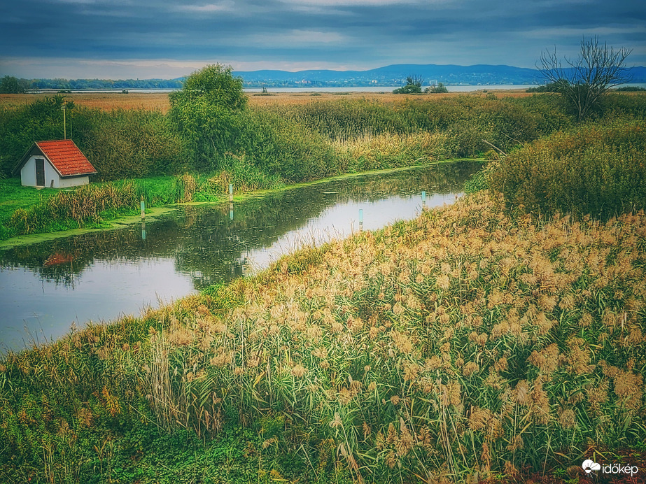 Ószi anzix (Zala-folyó & Balaton)