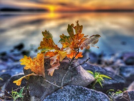 Napkelte- csendélettel...