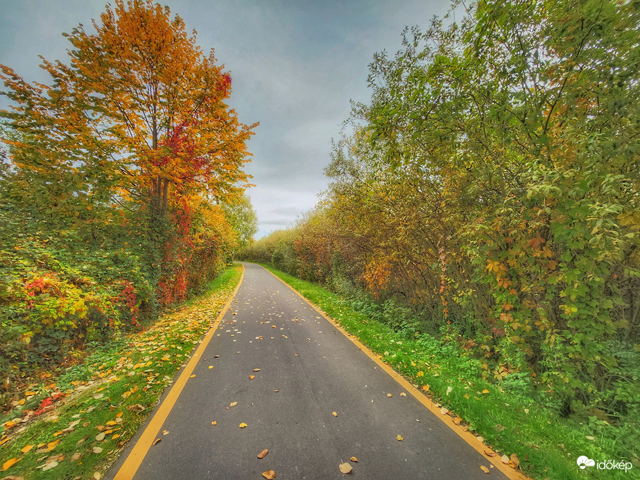 Öröm ősszel bicajozni...