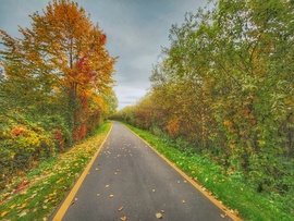 Öröm ősszel bicajozni...