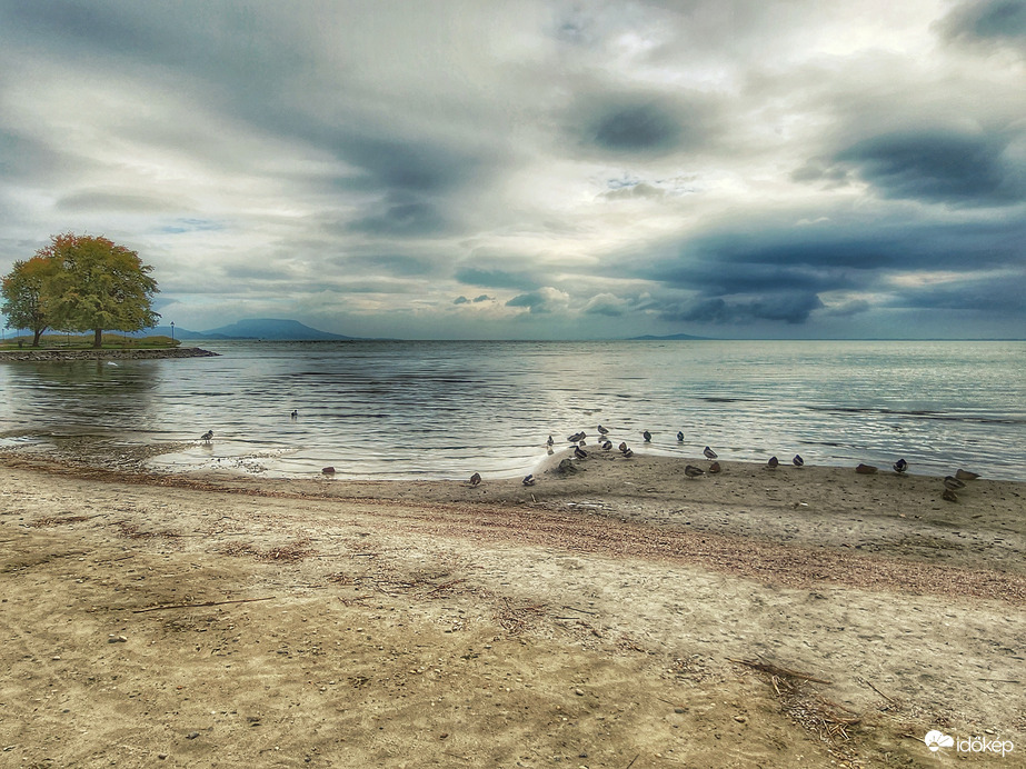 Reggeli megbeszélés