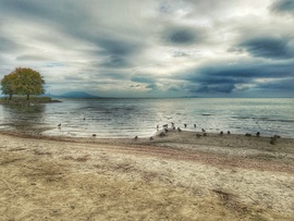 Reggeli megbeszélés