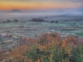 Fáznak a tanúhgyek...