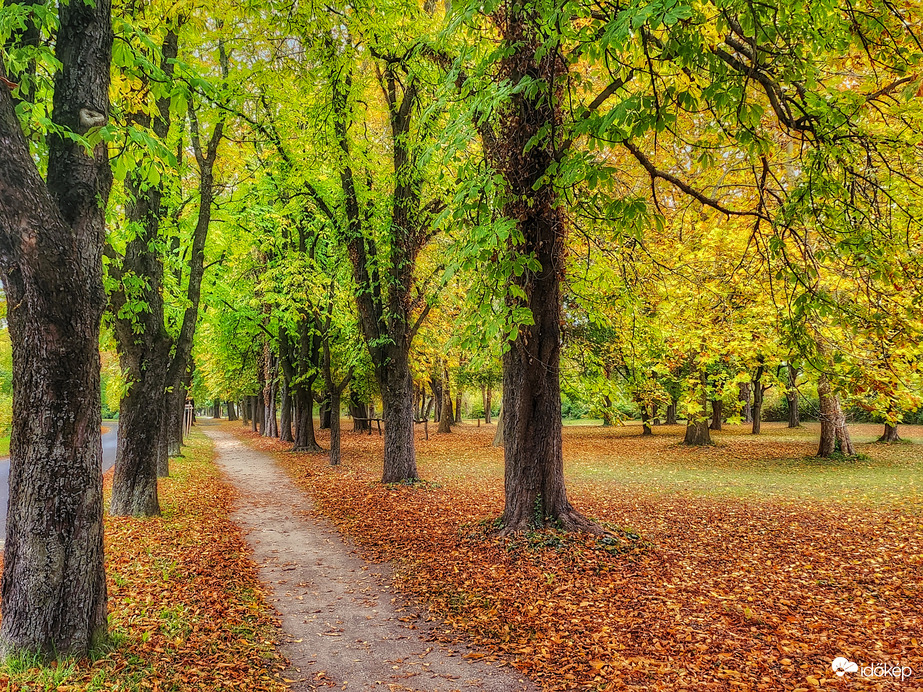 Októberi ruhában...