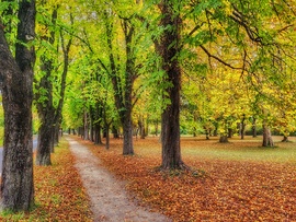 Októberi ruhában...