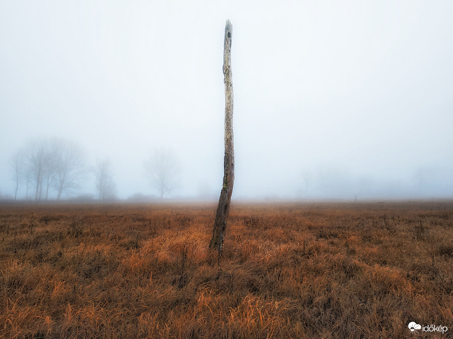Ködös magány...