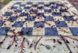 A természet sakkjátszmája...