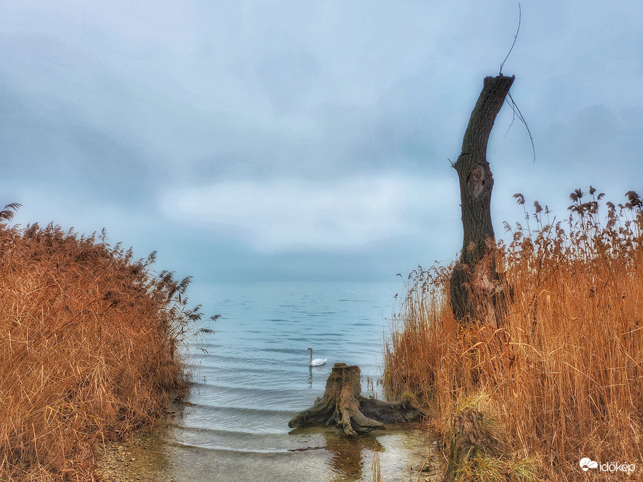 Csendélet az öbölben...