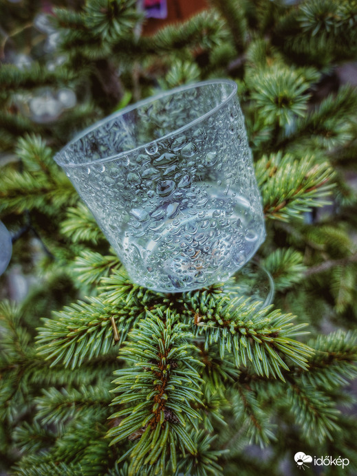 Vidám karácsony...