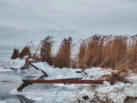 A természet ereje 5.0