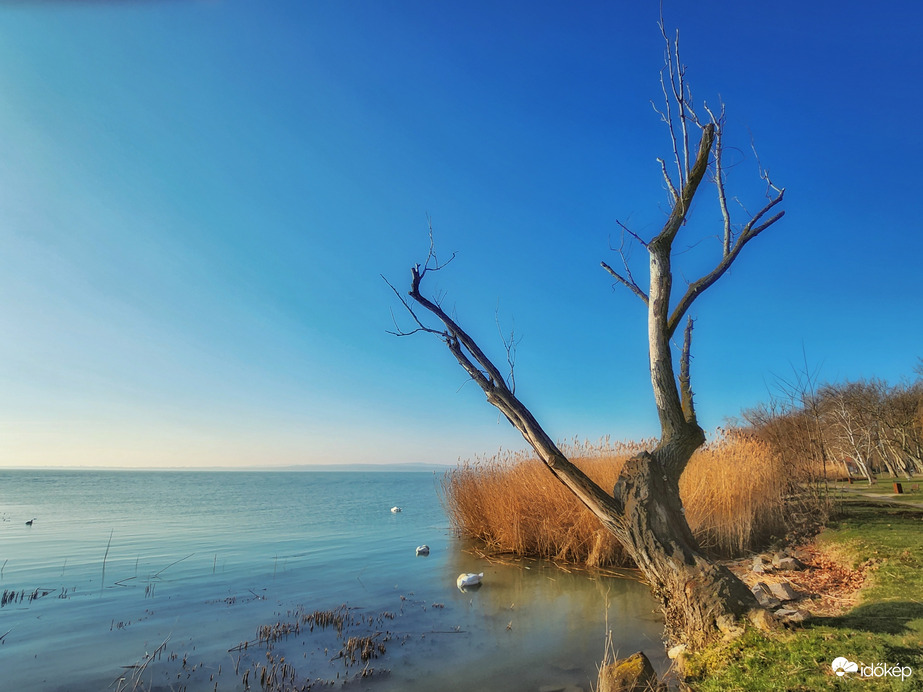 Balaton