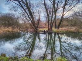 Reflexió a patakban...