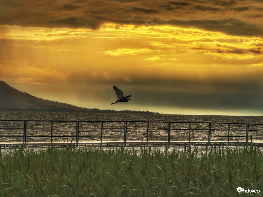 Balaton