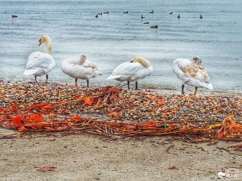 Adventi csendes pihenő...