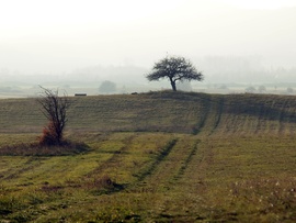 Lassan, de kitisztul...