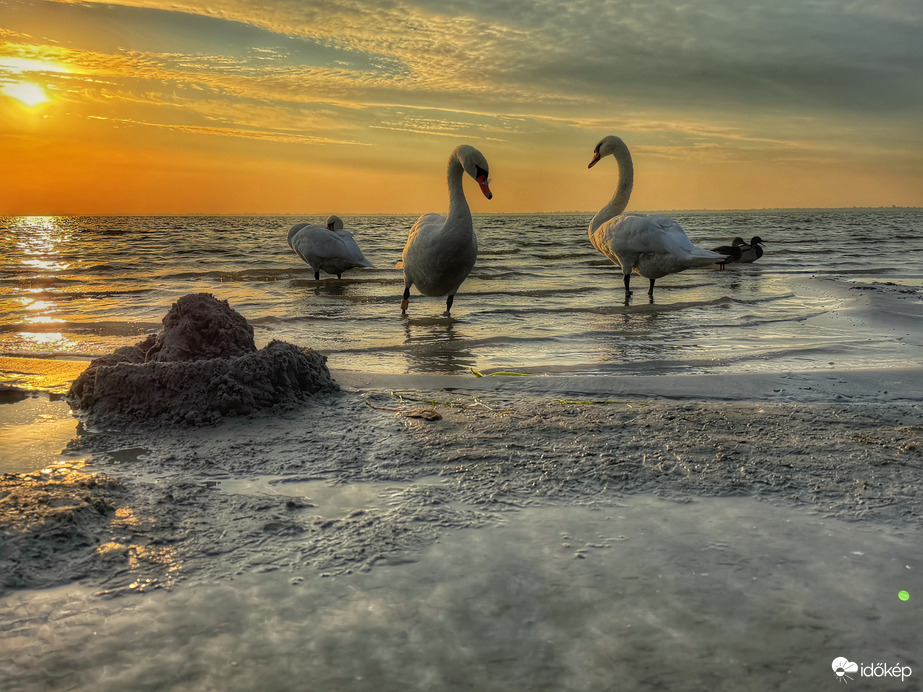 Balaton