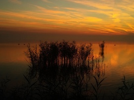 Sziluett & napnyugta...