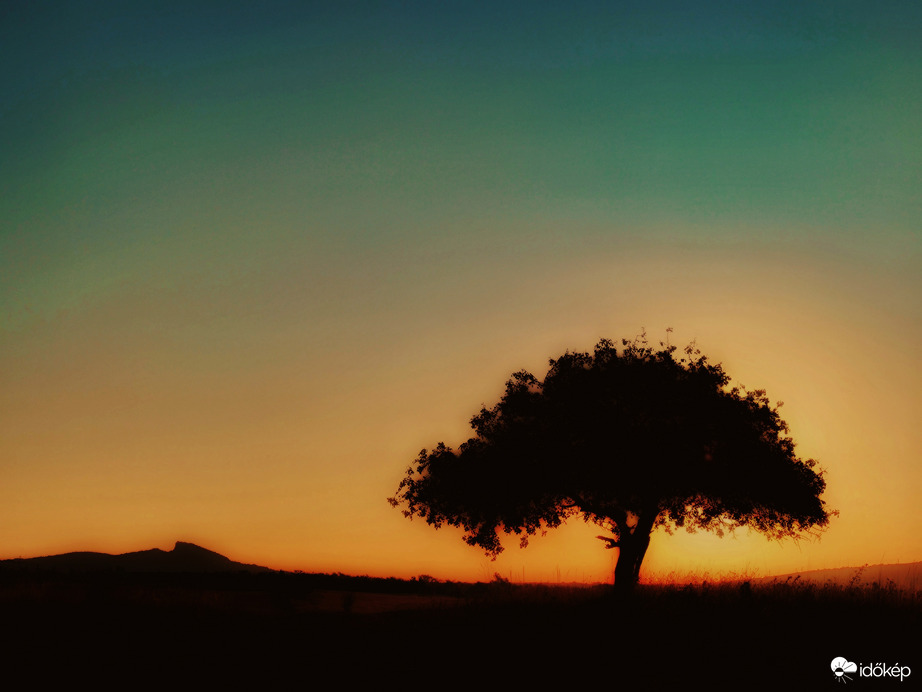 FAntasztikus reggel...