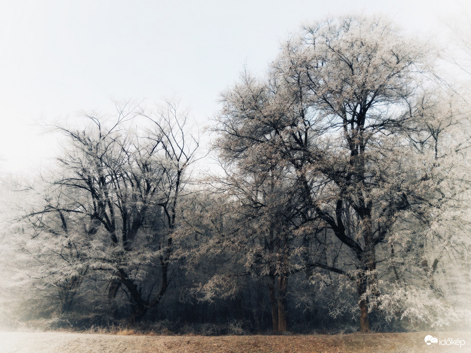 Köszönjük, Holle anyó!