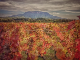 Alkotott a "festőművész"...