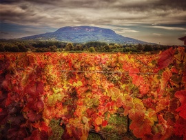 ŐSZínek ölelésében...