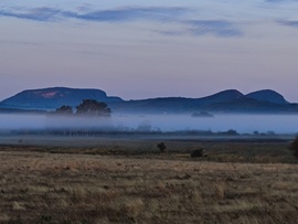 Párapaplannal takaródzó természet... 