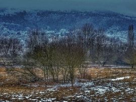 Köd. Zúzmara. Fehér világ.