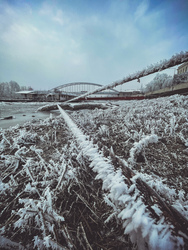 A befagyott Tisza... 12.