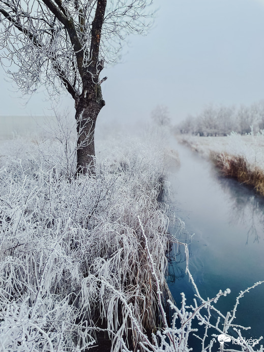 Illa berek, nádak, erek… 1.