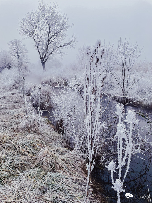 Illa berek, nádak, erek… 5.