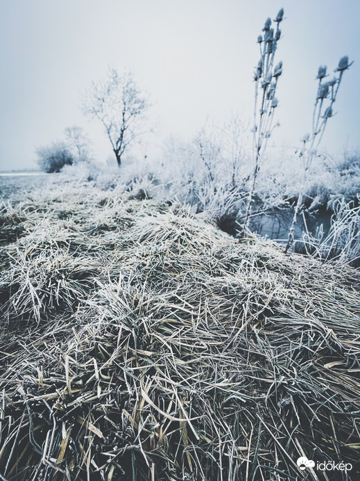 Illa berek, nádak, erek… 6.