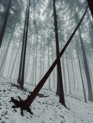 Óriások kertje. 1.