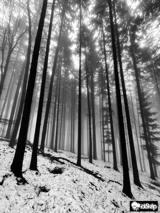 Óriások kertje. 9.