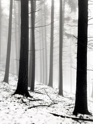 Óriások kertje. 13.