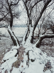 A befagyott Tisza… 2.