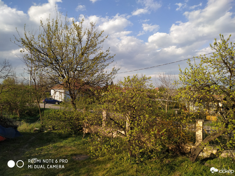 Mezőnagymihály