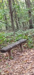 Nemesbük