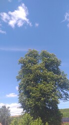 Recsk