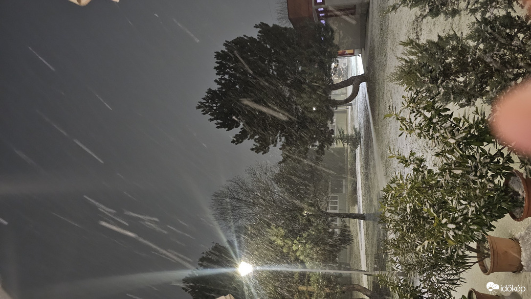 Észlelési fényképek