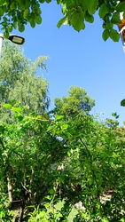 Kiskunmajsa