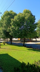 Kiskunmajsa
