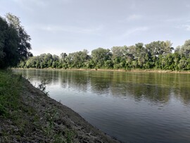 Tiszavárkony