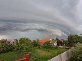 Makó
