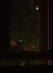 Szegedről a holdfogyatkozas