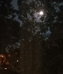 Szegedről a holdfogyatkozás 2