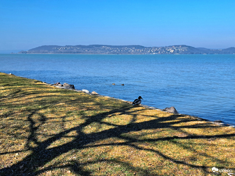 Balaton