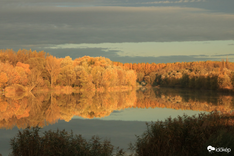Árnyékban állva, ámulva-bámulva