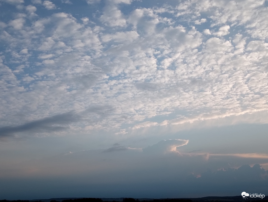 Orka a hajnali óceánban