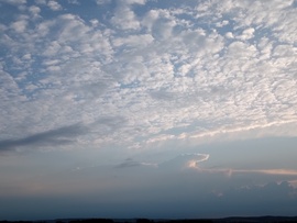 Orka a hajnali óceánban